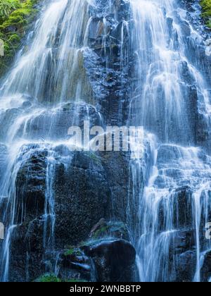 Fairy Falls, Columbia River Gorge National Scenic Area, Oregon. Stockfoto