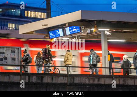 Bahnhof Köln-Deutz, Bahnsteig für Nahverkehrszüge, S-Bahn, Regionalbahnen, Köln, NRW, Deutschland Köln Nahverkehr *** Bahnhof Köln Deutz, Bahnsteig für Nahverkehrszüge, S-Bahn, Regionalzüge, Köln, NRW, Deutschland Köln Nahverkehr Stockfoto