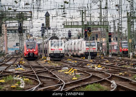 Gleisanlage vor dem Kölner Hauptbahnhof, Regionalzüge, Fernzüge, Köln, NRW, Deutschland, Köln HBF *** Gleissystem vor dem Kölner Hauptbahnhof, Regionalzüge, Fernzüge, Köln, NRW, Deutschland, Köln Hauptbahnhof Stockfoto