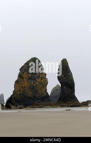 Point of Arches am Shi Shi Beach, Olympic National Park, Washington, USA Stockfoto