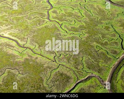 Luftaufnahme von Gezeitenkanälen und Rinnen, Saeftinge, Niederlande Stockfoto