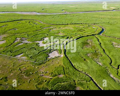 Luftaufnahme von Gezeitenkanälen und Rinnen, Saeftinge, Niederlande Stockfoto