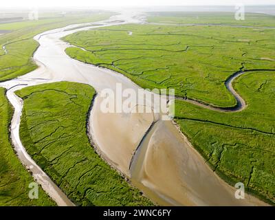 Luftaufnahme von Gezeitenkanälen und Rinnen, Saeftinge, Niederlande Stockfoto