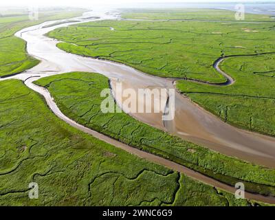 Luftaufnahme von Gezeitenkanälen und Rinnen, Saeftinge, Niederlande Stockfoto