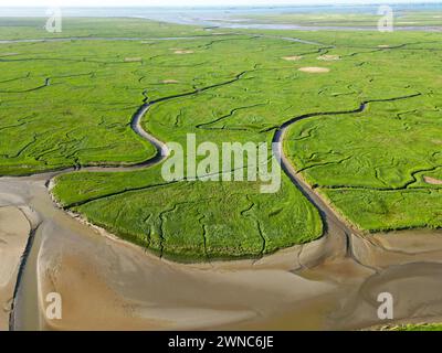 Luftaufnahme von Gezeitenkanälen und Rinnen, Saeftinge, Niederlande Stockfoto