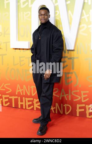 Celeb-Gäste nehmen an der britischen Premiere von Bob Marley Teil, One Love mit: Gast, wo: London, Großbritannien Wann: 30. Januar 2024 Credit: Phil Lewis/WENN Stockfoto