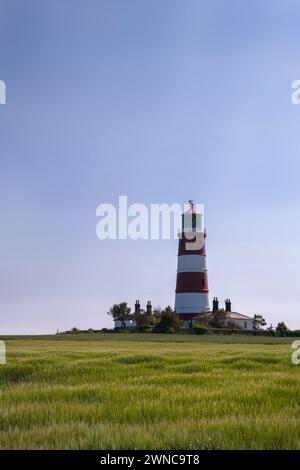 Blick auf den Leuchtturm von Happisburgh an einem Frühlingsnachmittag, North Norfolk, England Stockfoto