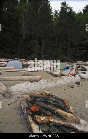 Camping im Shi Shi Beach Olympic National Park Washington State USA Stockfoto