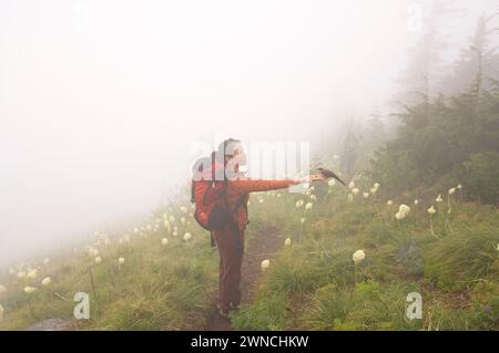 Sunny Coulson eine indianische Frau ernährt einen Canada Jay aus ihrer Hand während einer Wanderung zum Gipfel des Bandera Cascades Washington State Stockfoto