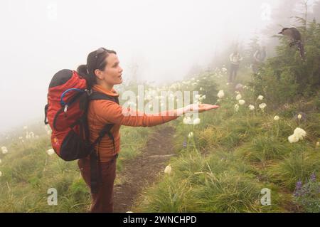 Sunny Coulson eine indianische Frau ernährt einen Canada Jay aus ihrer Hand während einer Wanderung zum Gipfel des Bandera Cascades Washington State Stockfoto