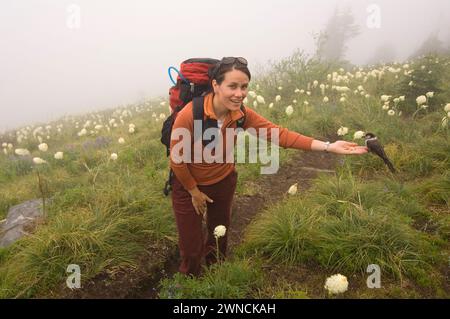 Sunny Coulson eine indianische Frau ernährt einen Canada Jay aus ihrer Hand während einer Wanderung zum Gipfel des Bandera Cascades Washington State Stockfoto