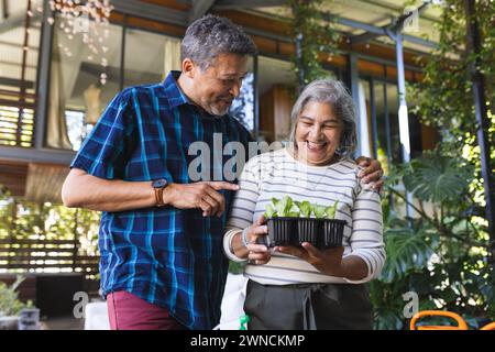 Ein hochrangiges birassisches Paar bewundert ein Tablett mit Setzlingen und teilt einen freudigen Moment Stockfoto