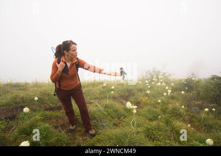 Sunny Coulson eine indianische Frau ernährt einen Canada Jay aus ihrer Hand während einer Wanderung zum Gipfel des Bandera Cascades Washington State Stockfoto