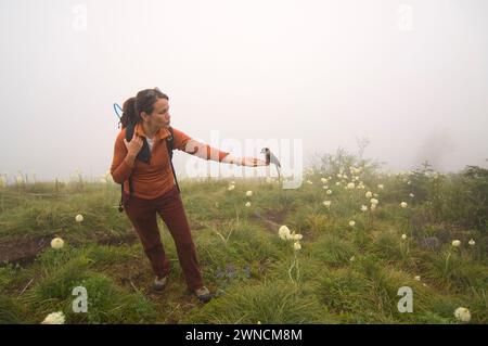 Sunny Coulson eine indianische Frau ernährt einen Canada Jay aus ihrer Hand während einer Wanderung zum Gipfel des Bandera Cascades Washington State Stockfoto