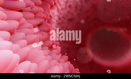 Darmzotten, Abbildung Stockfoto