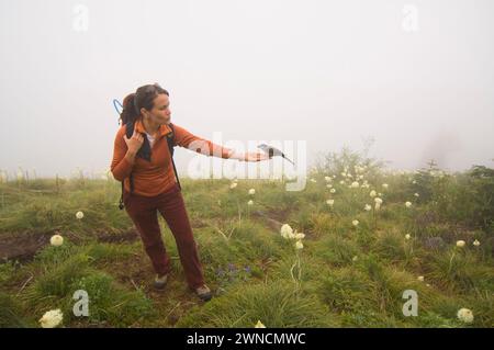 Sunny Coulson eine indianische Frau ernährt einen Canada Jay aus ihrer Hand während einer Wanderung zum Gipfel des Bandera Cascades Washington State Stockfoto