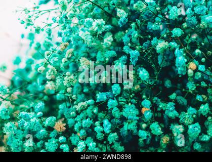 Nahaufnahme bemalt getrocknete Blumen für Dekor, gelb rosa blaugrün, kleine Blütenstände, floraler Hintergrund. Fröhliche Sommerstimmung Stockfoto