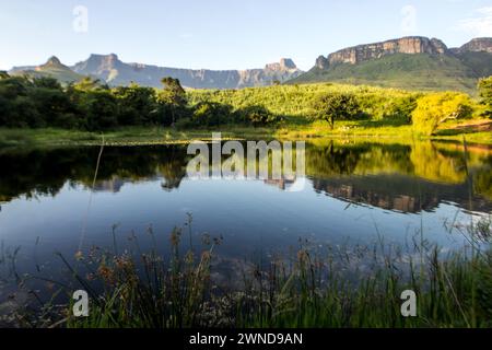 Reflexionen des Drakensberges Stockfoto