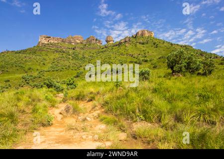 Wandern Sie durch das Grasland der Drakensberge mit bizarr verwitterten Sandsteinformationen und Klippen am Horizont. Stockfoto