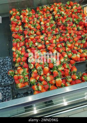 Viele Heidelbeeren und Erdbeeren in Behältern auf der Theke im Geschäft, Nahaufnahme, vertikal Stockfoto