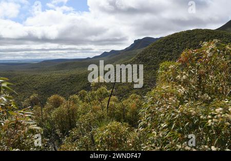 Blick auf die Stirling Range Mountains am Anfang des Bluff Knoll Wanderweges Stockfoto