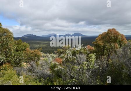 Üppige Vegetation im Stirling Range National Park, WA Stockfoto