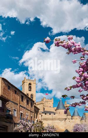 Majestätische Burg Olite, Palast der Könige von Navarra in Spanien Stockfoto