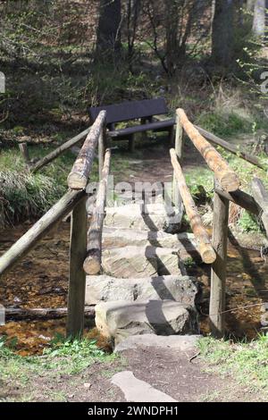 Snapshot aus dem Nationalpark Hunsrueck-Hochwald ist ein Nationalpark in der Region Hunsrueck in Rheinland-Pfalz und im Saarland in Ge Stockfoto