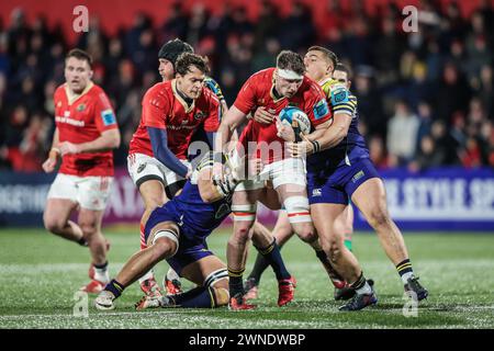 März 2024, Virgin Media Park, Cork, Irland - Tom Ahern bei der BKT United Rugby Championship: Munster 45 - Zebre Parma 29 Stockfoto