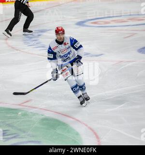 Daryl Boyle (6, Schwenninger Wild Wings) beim Auswärtsspiel am 50. Spieltag der Saison 2023/2024 der DEL (Deutsche Eishockey Liga) bei Adler Mannheim Stockfoto