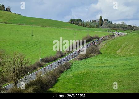 Siena, Italien. März 2024. Die Abbildung zeigt das Feld während des Herrenelitennens des eintägigen Radrennens „Strade Bianche“ (215 km) von und nach Siena, Italien, Samstag, den 2. März 2024. BELGA FOTO DIRK WAEM Credit: Belga News Agency/Alamy Live News Stockfoto