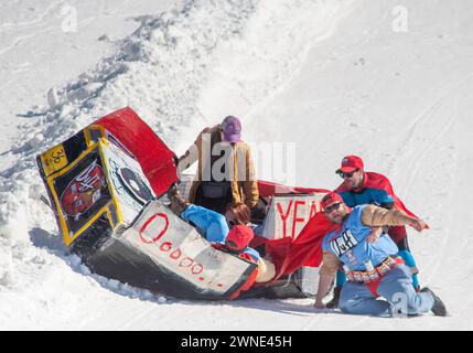 Die Teilnehmer reagieren darauf, nachdem sie den Berg hinunter gefahren sind und ihren Duff Brothers-Schlitten beim Preston and Steve Cardboard Classic Friday, 1. März 2024 2024 am Montage Mountain in Scranton, Pennsylvania, abstürzten. Die Veranstaltung wird vom lokalen Radiosender WMMR gesponsert und die Schlitten müssen aus Karton und Klebeband bestehen. (Foto von Tina Sottolano Cain/CAIN IMAGES) Credit: Tina Sottolano Cain/Alamy Live News Stockfoto