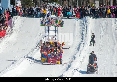 Die Teilnehmer reagieren darauf, nachdem sie den Berg auf ihrem Wally World-Schlitten während des Preston and Steve Cardboard Classic Friday, 1. März 2024 2024, am Montage Mountain in Scranton, Pennsylvania, heruntergefahren haben. Die Veranstaltung wird vom lokalen Radiosender WMMR gesponsert und die Schlitten müssen aus Karton und Klebeband bestehen. (Foto von Tina Sottolano Cain/CAIN IMAGES) Credit: Tina Sottolano Cain/Alamy Live News Stockfoto