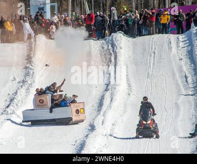 Die Teilnehmer reagieren, nachdem sie den Berg beim Preston and Steve Cardboard Classic Friday, 1. März 2024 2024 im Montage Mountain in Scranton, Pennsylvania, mit ihrem Schlitten heruntergefahren sind. Die Veranstaltung wird vom lokalen Radiosender WMMR gesponsert und die Schlitten müssen aus Karton und Klebeband bestehen. (Foto von Tina Sottolano Cain/CAIN IMAGES) Credit: Tina Sottolano Cain/Alamy Live News Stockfoto