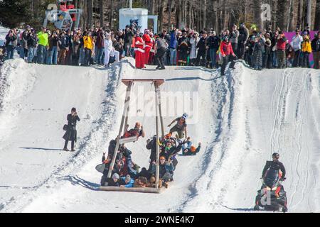 Die Teilnehmer reagieren, nachdem sie den Berg auf ihrem Swing-Schlitten während des Preston and Steve Cardboard Classic Friday, 1. März 2024 2024, am Montage Mountain in Scranton, Pennsylvania, heruntergefahren haben. Die Veranstaltung wird vom lokalen Radiosender WMMR gesponsert und die Schlitten müssen aus Karton und Klebeband bestehen. (Foto von Tina Sottolano Cain/CAIN IMAGES) Credit: Tina Sottolano Cain/Alamy Live News Stockfoto