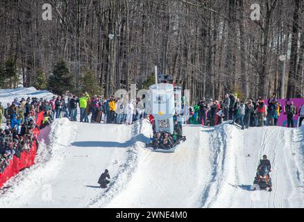 Die Teilnehmer reagieren darauf, nachdem sie den Berg auf ihrem Stanley Becher-Schlitten während des Preston and Steve Cardboard Classic Friday, 1. März 2024 2024 im Montage Mountain in Scranton, Pennsylvania, heruntergefahren haben. Die Veranstaltung wird vom lokalen Radiosender WMMR gesponsert und die Schlitten müssen aus Karton und Klebeband bestehen. (Foto von Tina Sottolano Cain/CAIN IMAGES) Credit: Tina Sottolano Cain/Alamy Live News Stockfoto