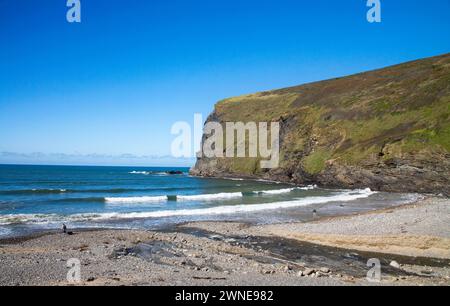 Der Strand von Crackington Haven an der nördlichen Küste von cornwall Stockfoto