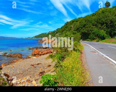 Küste, Strand und Natur an Küstenstraße, Wald und Sommerlandschaft mit Sonnenschein. Blauer Himmel, Erde und Bäume mit Meer und Büschen auf dem Tar Highway Stockfoto