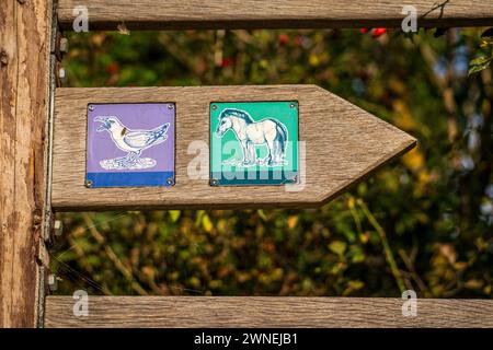 Hölzerner Wanderweg-Schild im Nationalpark. Stockfoto