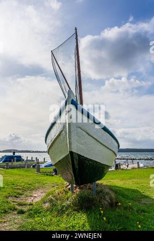 Fischerboot auf der Schlei in Schleswig Holstein. Stockfoto