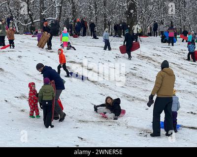 Kinder und Familien genießen Schlittenfahrten im Prospect Park nach dem ersten echten Schneefall seit etwa zwei Jahren im Februar 2024. Brooklyn, New York. Stockfoto