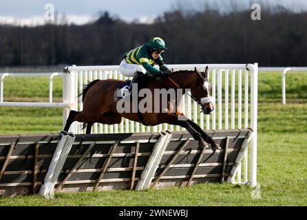 Bucephalus fuhr von Thomosina Eyston auf dem Weg zum Download the BetVictor App Novices' Handicap Hürde auf der Newbury Racecourse, Berkshire. Bilddatum: Samstag, 2. März 2024. Stockfoto