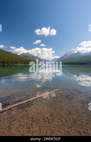 Der kristallklare Bowman Lake spiegelt die majestätischen Rocky Mountains wider. Stockfoto
