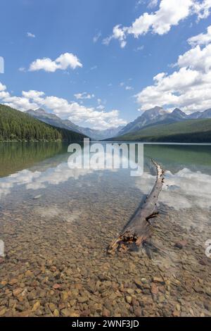 Der kristallklare Bowman Lake spiegelt die majestätischen Rocky Mountains wider. Stockfoto