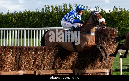 Weiß er und David Bass gewinnen die Grimthorpe Handicap Chase für Trainer Kim Bailey und Besitzer des YES He Does Syndikat. Quelle: JTW equine Images/Alamy Live News Stockfoto