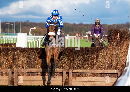 Weiß er und David Bass gewinnen die Grimthorpe Handicap Chase für Trainer Kim Bailey und Besitzer des YES He Does Syndikat. Quelle: JTW equine Images/Alamy Live News Stockfoto