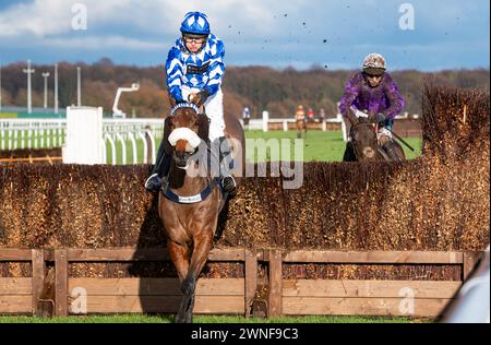 Weiß er und David Bass gewinnen die Grimthorpe Handicap Chase für Trainer Kim Bailey und Besitzer des YES He Does Syndikat. Quelle: JTW equine Images/Alamy Live News Stockfoto