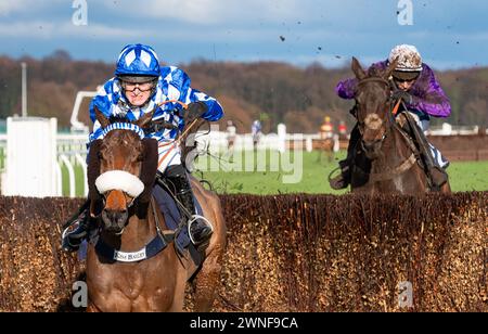 Weiß er und David Bass gewinnen die Grimthorpe Handicap Chase für Trainer Kim Bailey und Besitzer des YES He Does Syndikat. Quelle: JTW equine Images/Alamy Live News Stockfoto