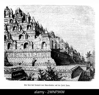Borobudur-Tempel Java. Majestätisch erhebt sich der Borobudur-Tempel auf der üppigen Ebene von Java, Indonesien, und ist ein monumentales Zeugnis buddhistischer Kunst und Architektur. Dieses großartige Gebäude wurde im 9. Jahrhundert während der Sailendra-Dynastie erbaut und ist der weltweit größte buddhistische Tempel mit einem komplizierten Labyrinth aus Stupas, Statuen und Relieftafeln, die das Leben Buddhas und die Prinzipien des Buddhismus erzählen. Borobudur' Entwurf ähnelt einem kosmischen Berg und ist eine symbolische Darstellung der buddhistischen Kosmologie Stockfoto