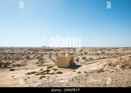 Wadi Dawkah, Gouvernement Dhofar, Oman Stockfoto